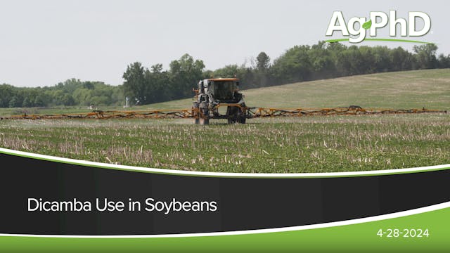 Dicamba Use in Soybeans | Ag PhD