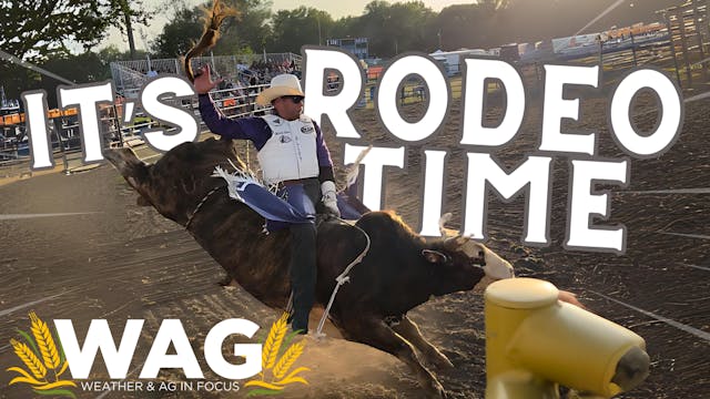 Rodeo Cowboy and a Banker! | WAG in F...