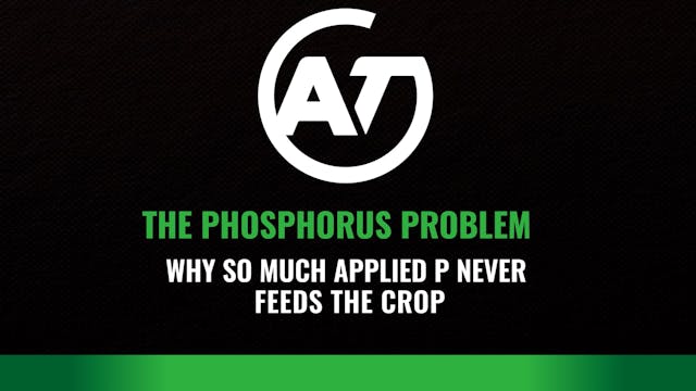 A Phosphorus Problem: Why So Much App...