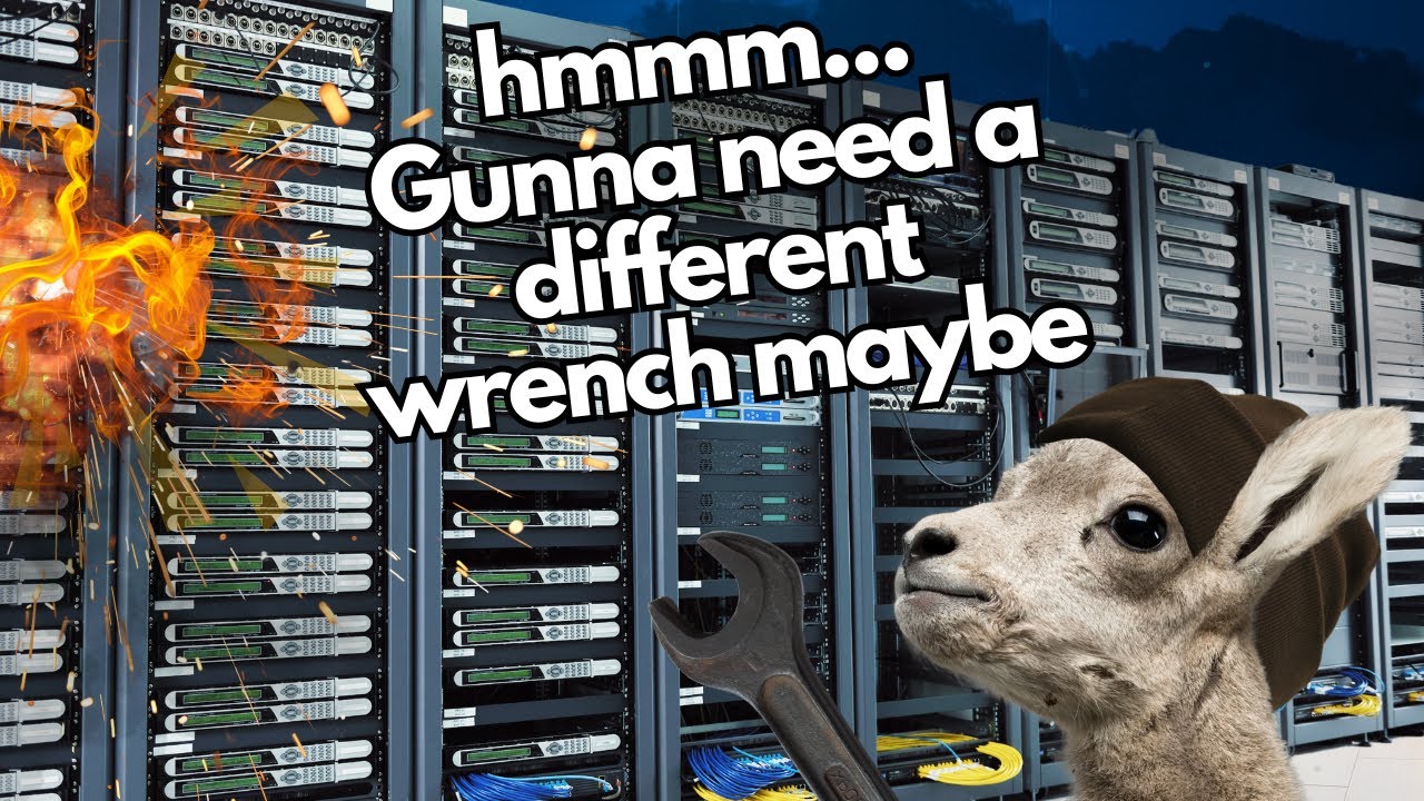 We've Got a Guy For That | WAG in Focus 06/05/24