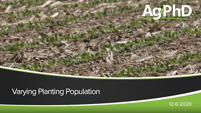 Varying Planting Population | Ag PhD