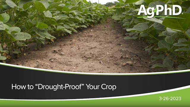 How to "Drought-Proof" Your Crop