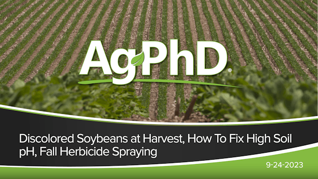 Discolored Soybeans, How to Fix High Soil pH, Fall Herbicide Spraying | Ag PhD