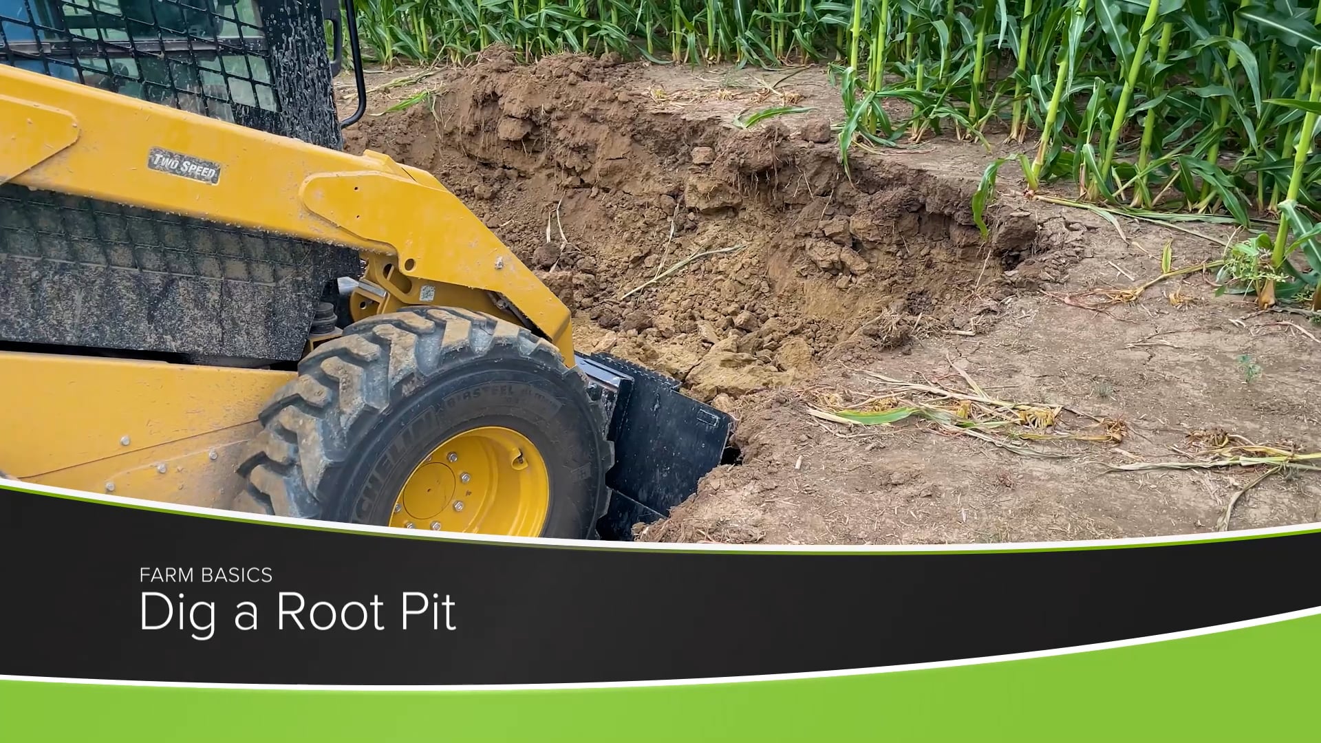 Dig a Root Pit | Ag PhD