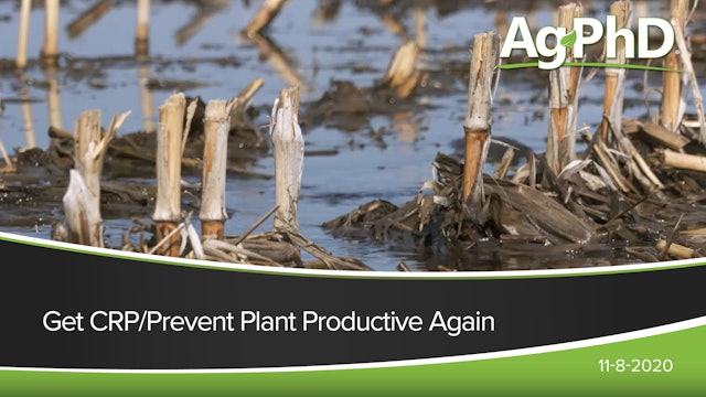 Get CRP and Prevent Plant Acres Productive Again | Ag PhD