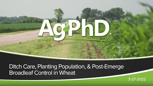Ditch Care, Planting Population, Post Emerge Broadleaf Control in Wheat