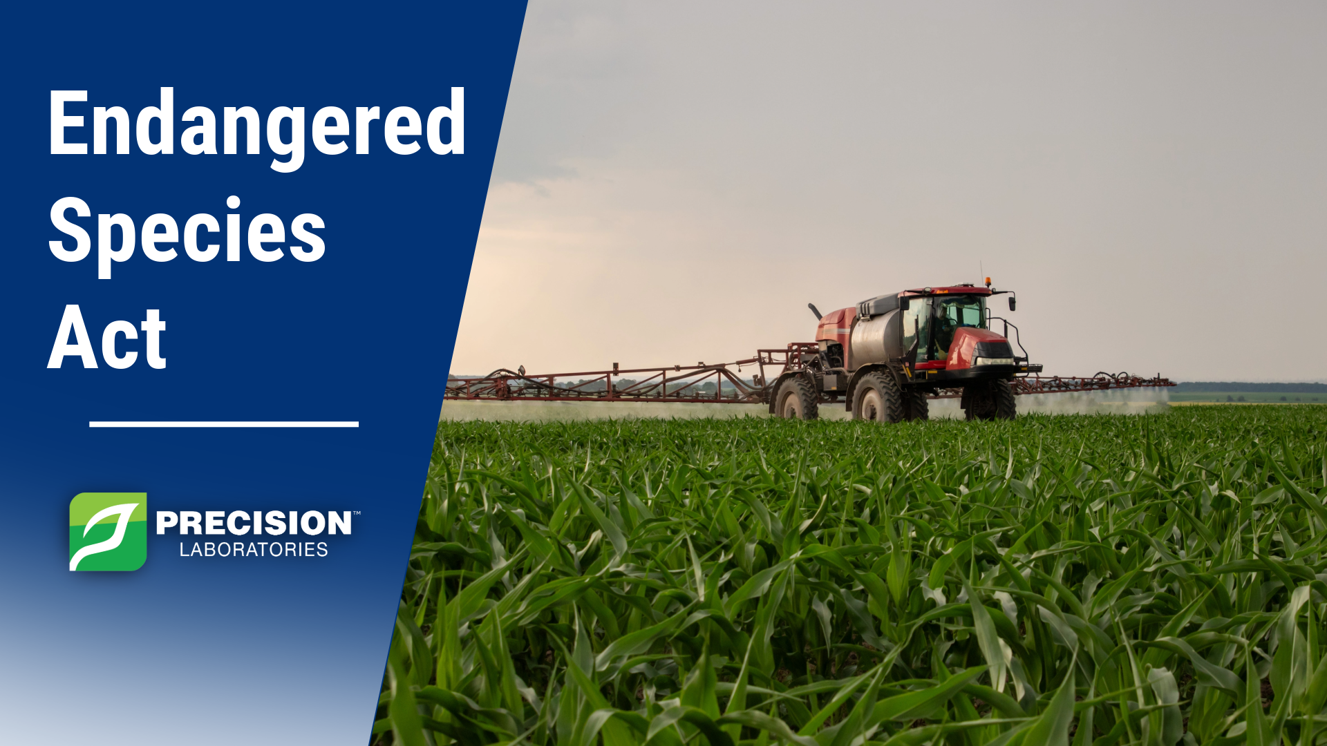 Endangered Species Act | Precision Laboratories