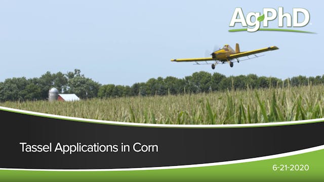 Tassel Applications in Corn | Ag PhD