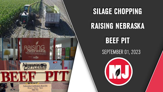 September 01, 2023 | Market Journal