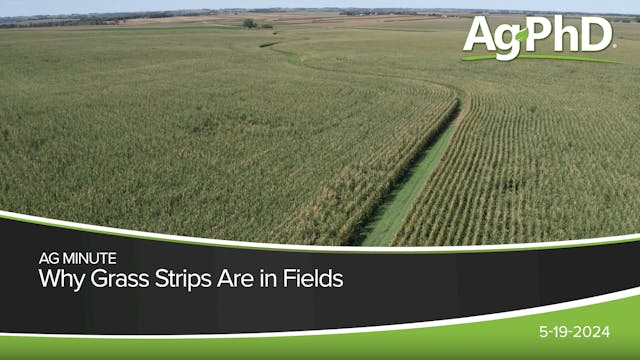 Why Grass Strips Are in Fields | Ag PhD
