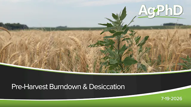Desiccation and Pre-Harvest Burndown ...
