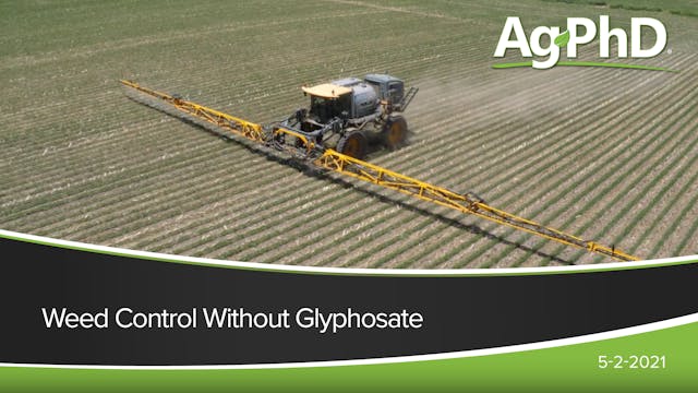 Weed Control Without Glyphosate | Ag PhD