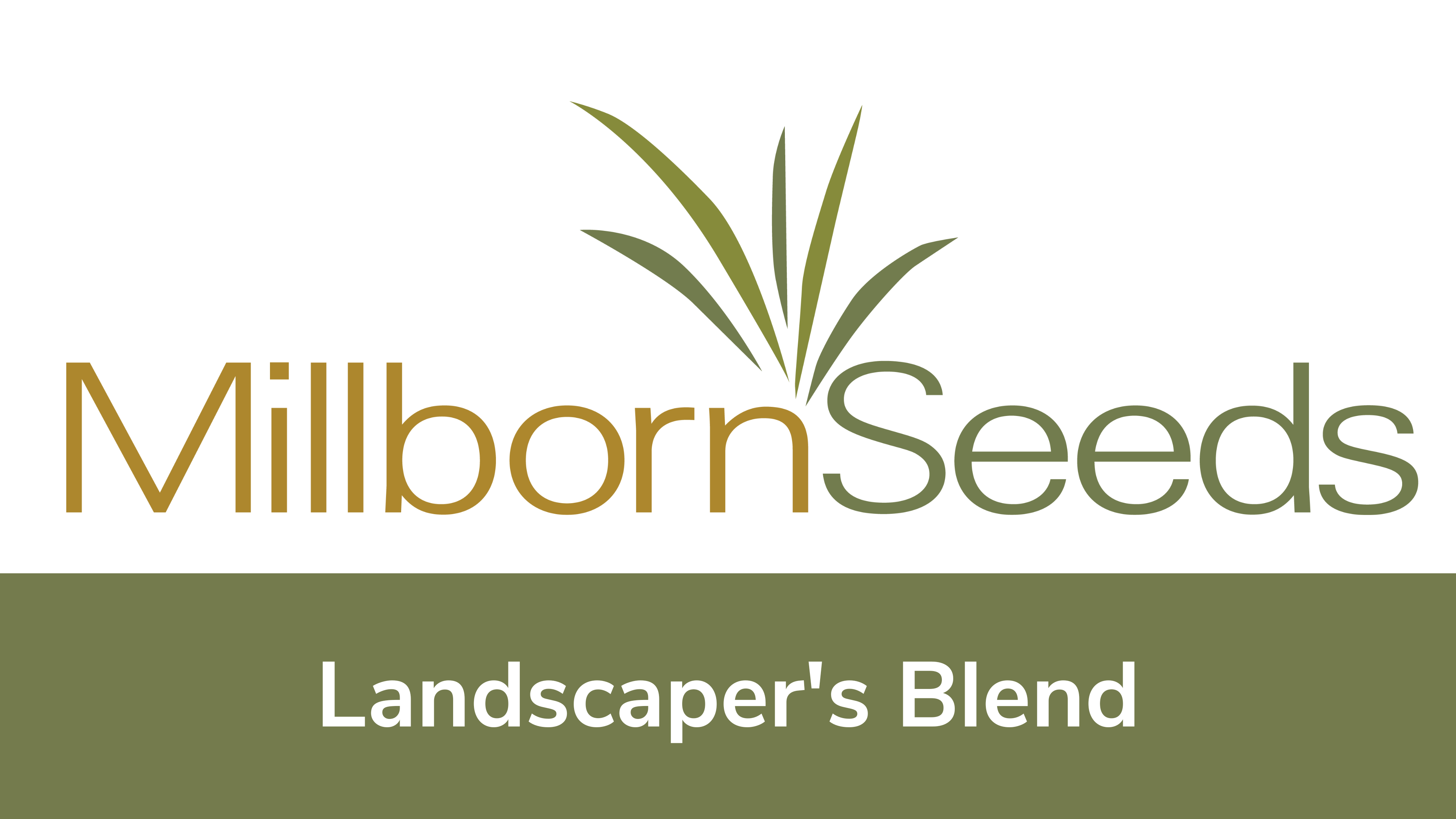 Millborn Seeds - Landscaper's Blend
