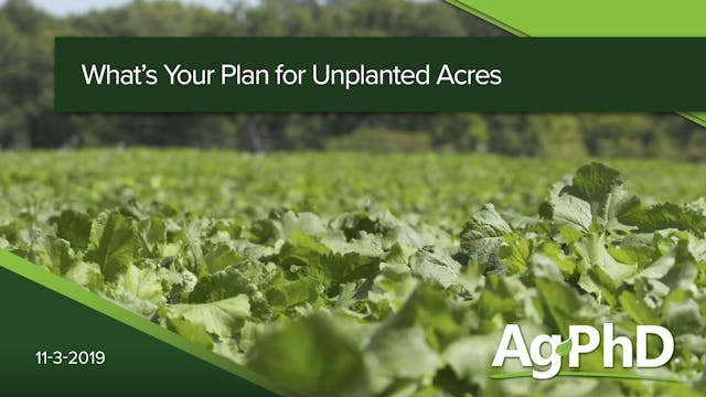 What's Your Plan for Unplanted Acres?...