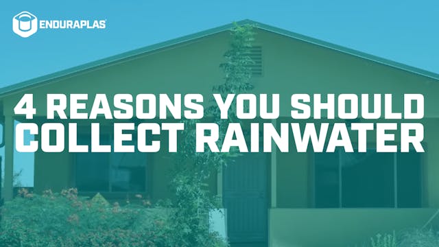 4 Reasons You Should Collect Rainwate...
