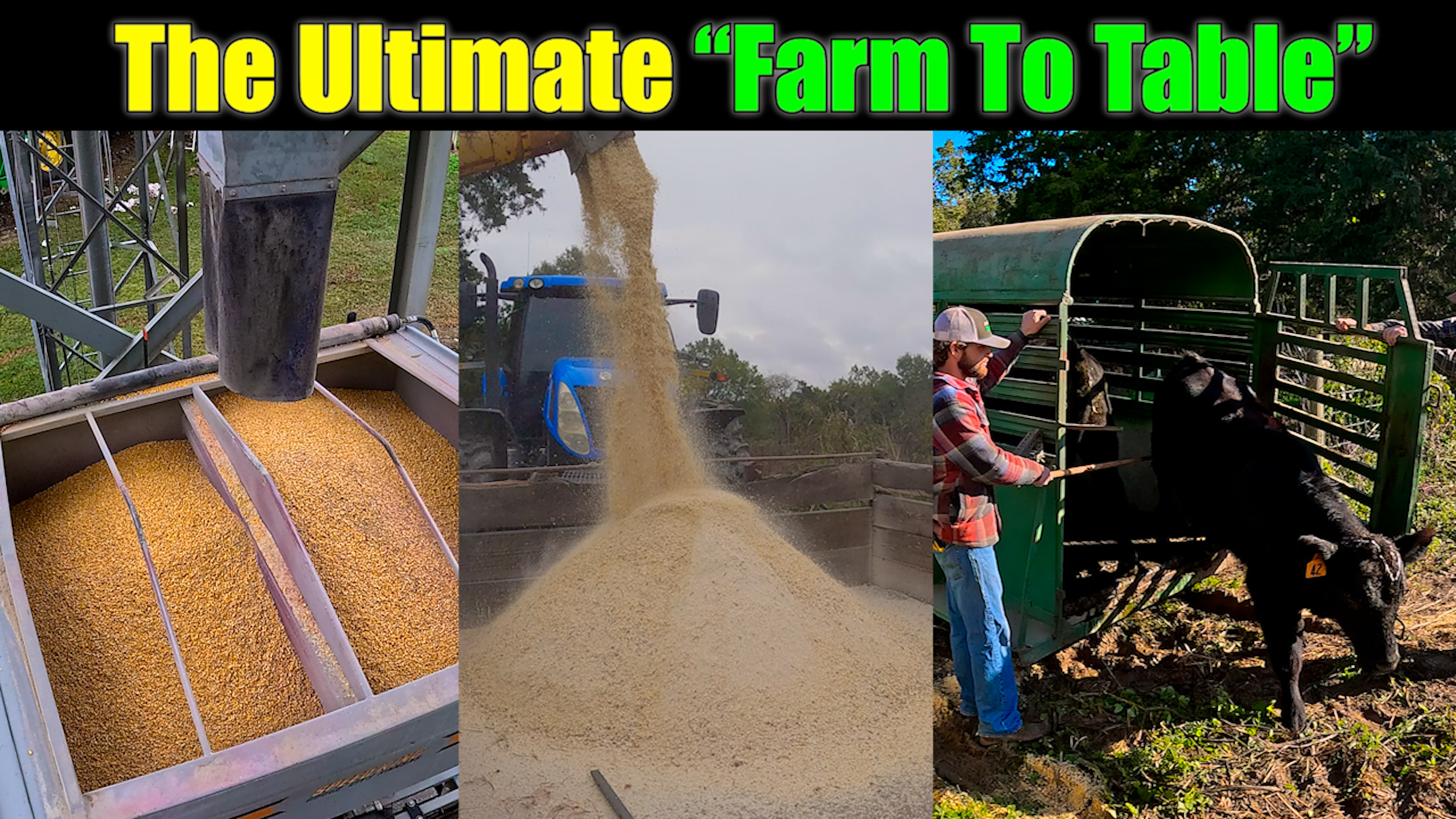 The Ultimate in Farm to Table! | Griggs Farms