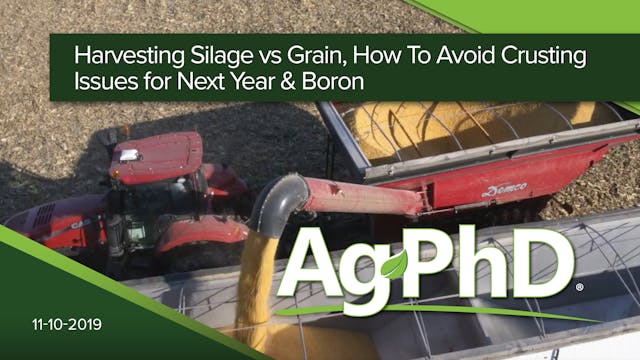 Harvesting Silage vs Grain, How to Av...