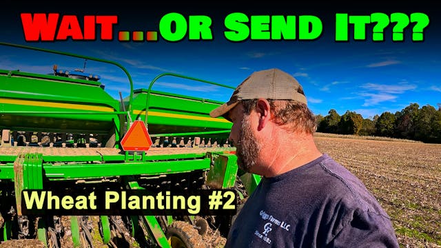 Should I Wait...Or Send It???  Wheat ...