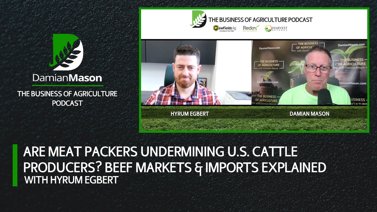 Is Big Meat Hurting U.S. Ranchers? Beef Markets & Imports | Damian Mason