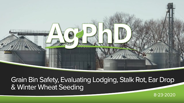 Grain Bin Safety, Evaluating Lodging, Stalk Rot, Ear Drop, Winter Wheat Seeding