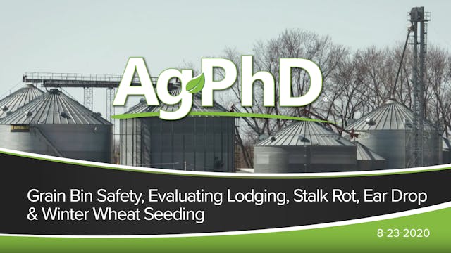 Grain Bin Safety, Evaluating Lodging,...