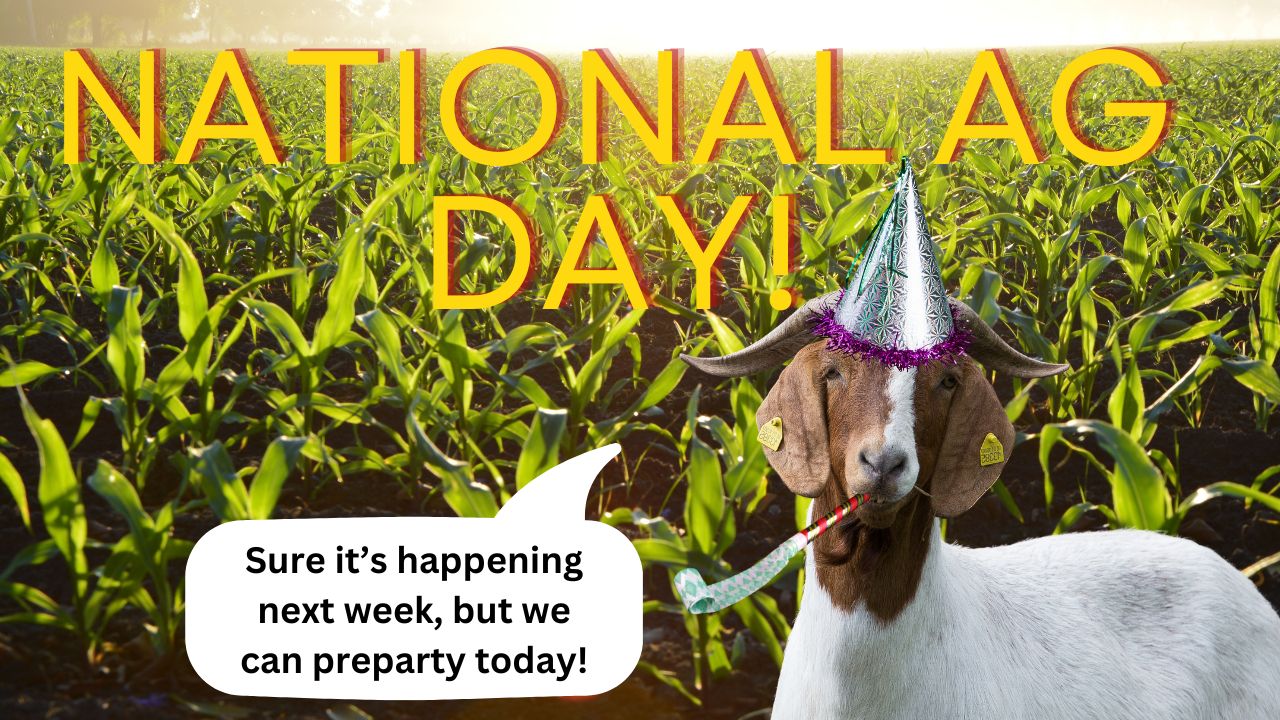 National AG Day Pre-Celebration! | WAG in Focus 3/12/24