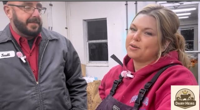 Cows and Earlage | Dairy Heirs