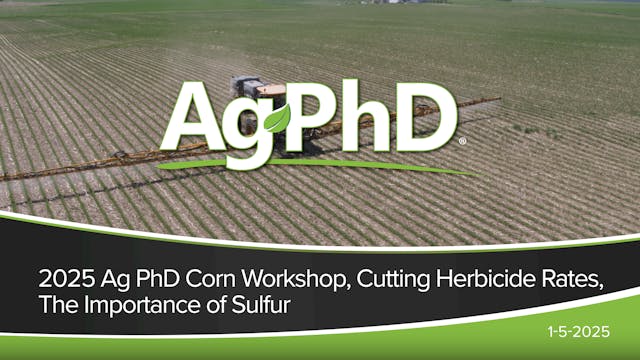 2025 Ag PhD Corn Workshop, Cutting He...