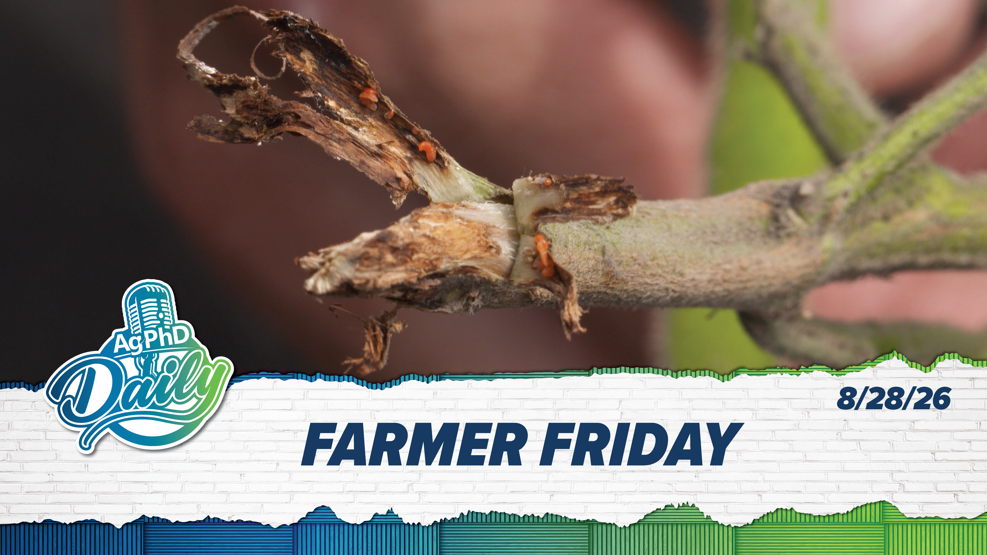 Farmer Friday | Ag PhD Daily | 08/28/26