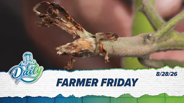 Farmer Friday | Ag PhD Daily | 08/28/26