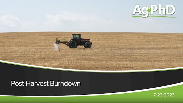 Post-Harvest Burndown | Ag PhD
