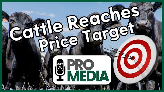 Cattle Reaches Price Target | ATI Pro...