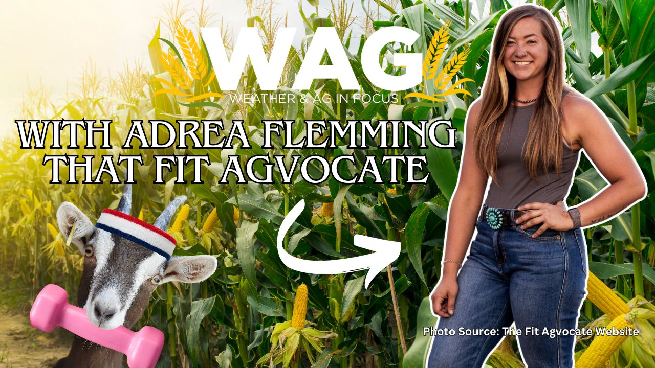 That Fit Agvocate: Getting Fit on the Farm | WAG in Focus 12/28/23