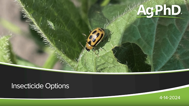 Insecticide Options | Ag PhD