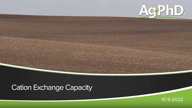 Cation Exchange Capacity | Ag PhD