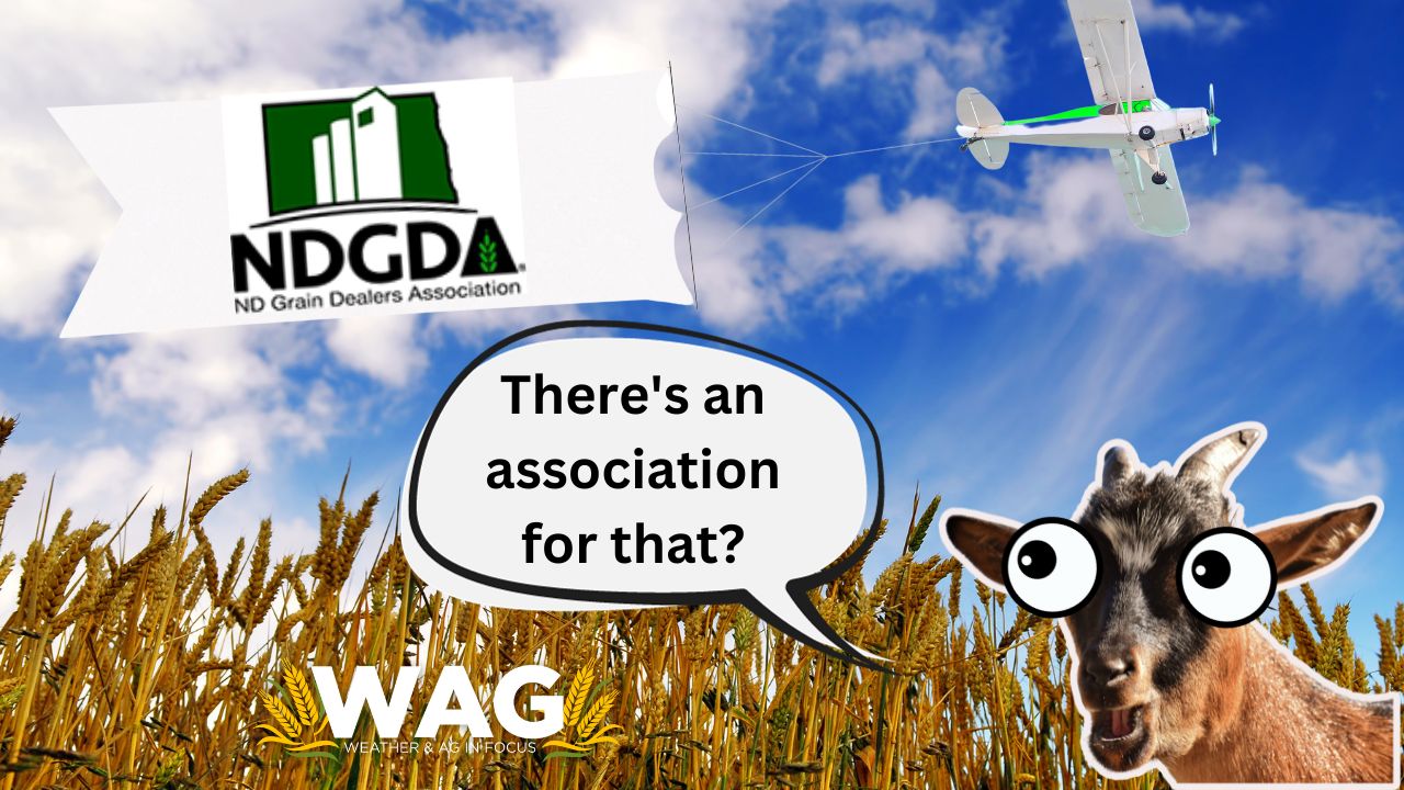 There's an Association for That? | WAG In Focus 10/3/23