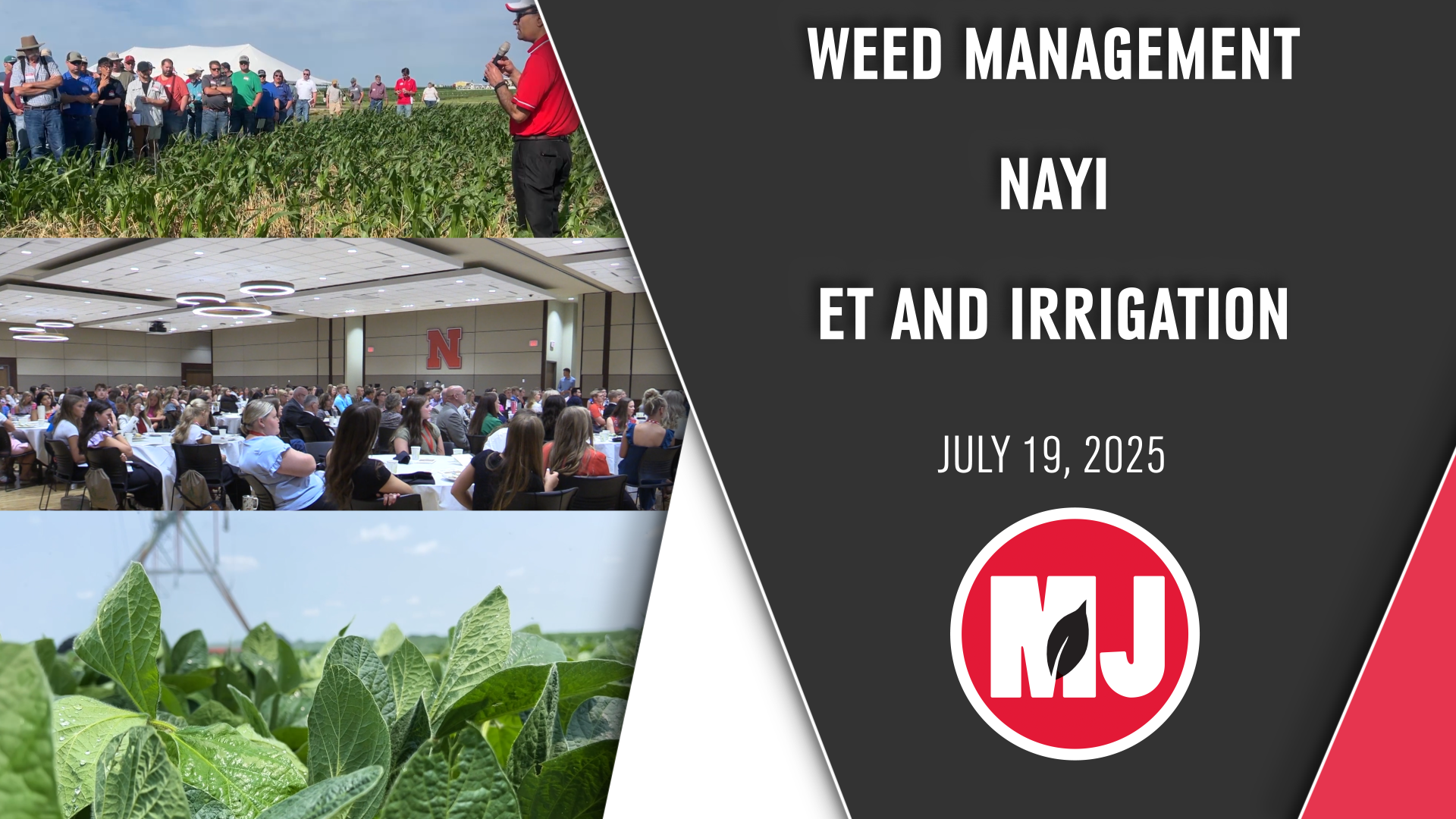 July 19, 2025 - Ag Market News | Progressive Ag