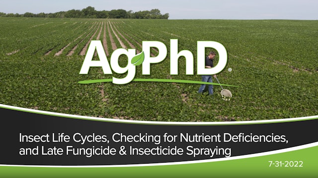 Insect Life Cycles, Nutrient Deficiencies, and Late Season Spraying | Ag PhD