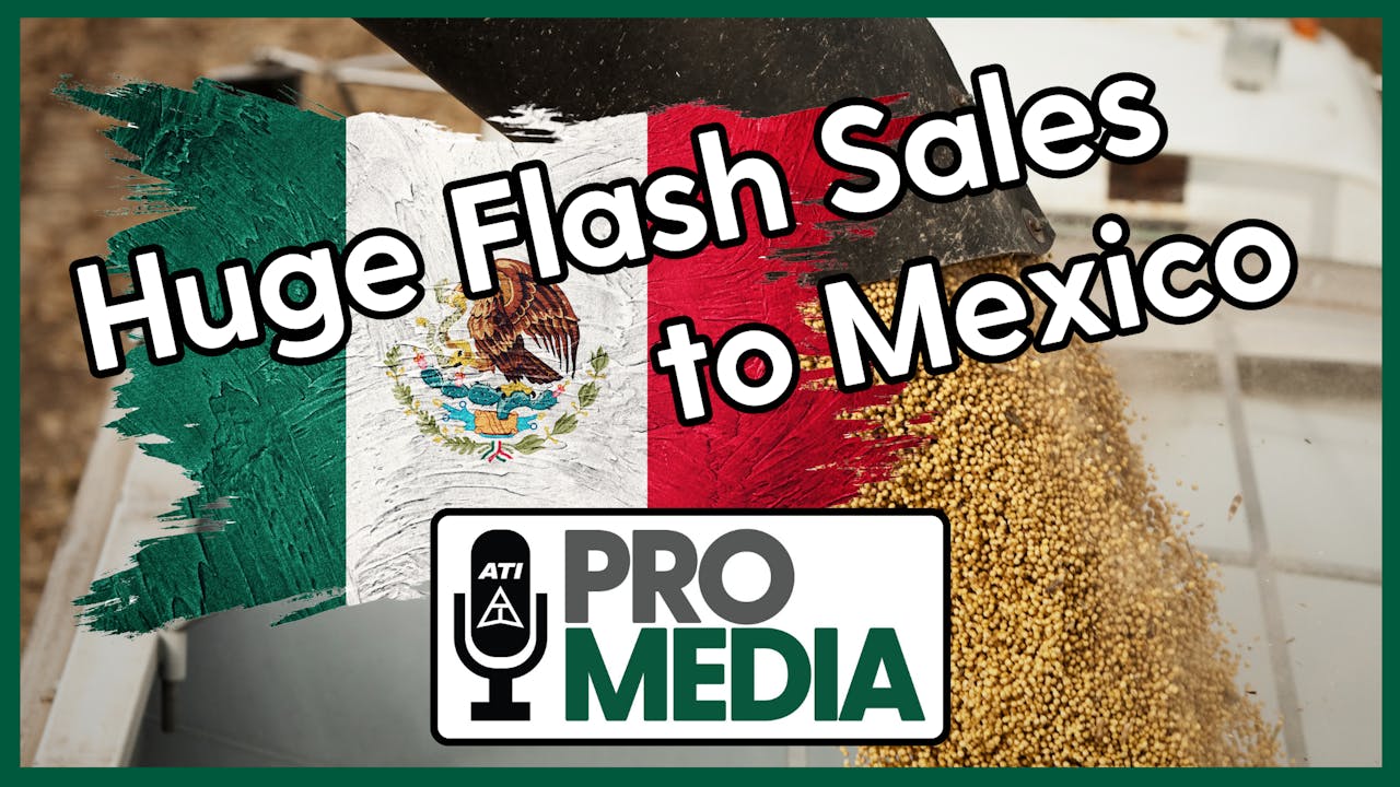 Huge Flash Sales to Mexico ATI ProMedia 10/16/2024 New Releases