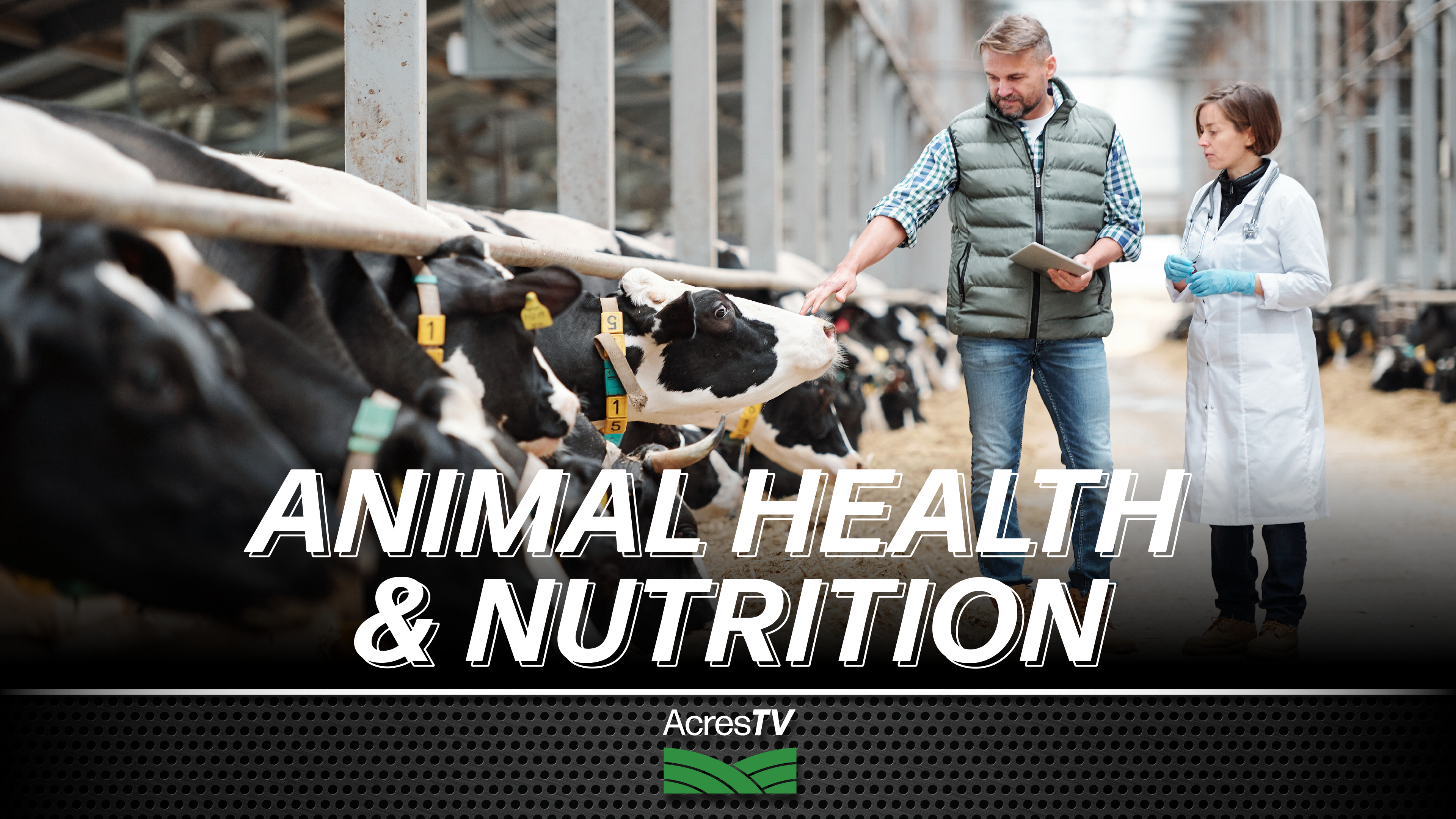 Animal Health & Nutrition