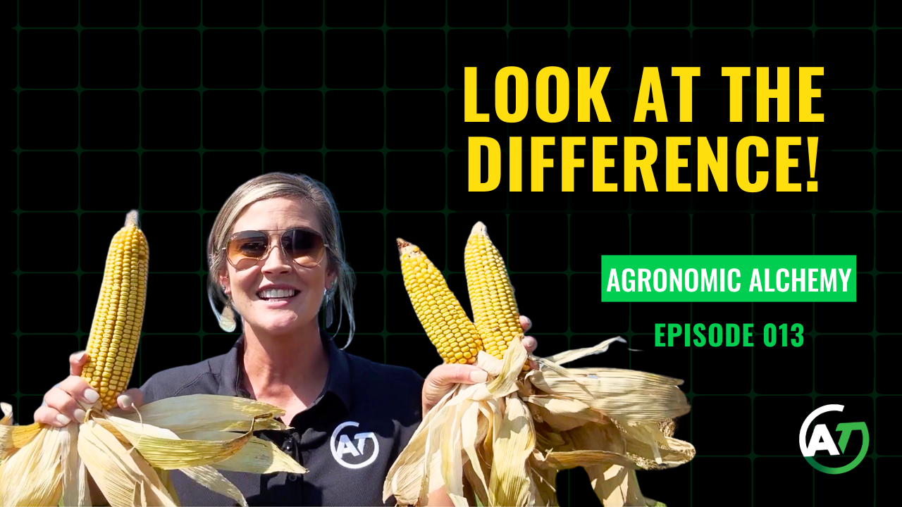 INCREDIBLE Results from NutriCharge PowerPlant Treated Corn | AgroTech USA