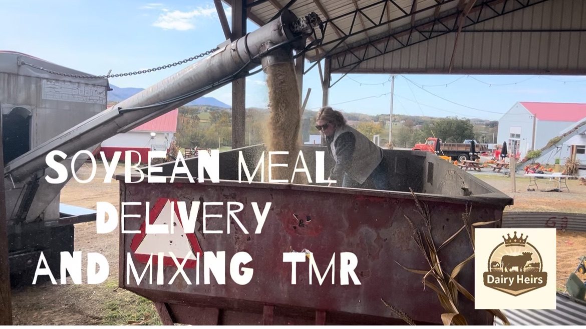 Meet Emmy & The Dairy Heirs | Dairy Heirs