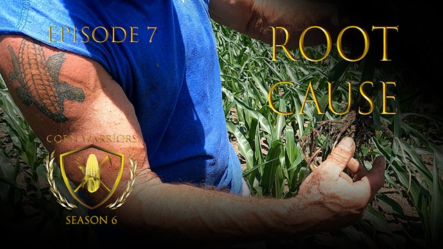 Corn Warriors | 607 | Root Cause