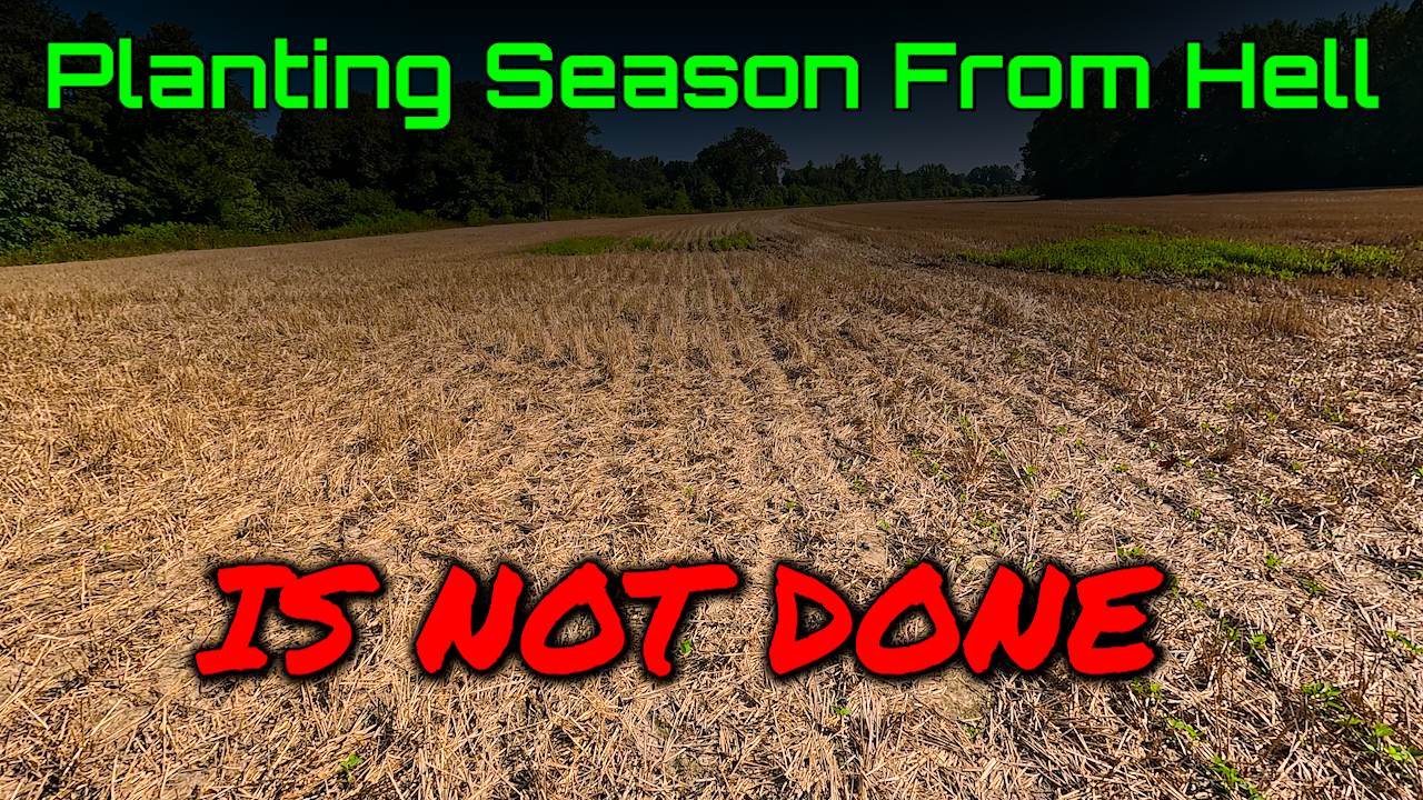 Planting Season from Hell Will Not End! | Griggs Farms