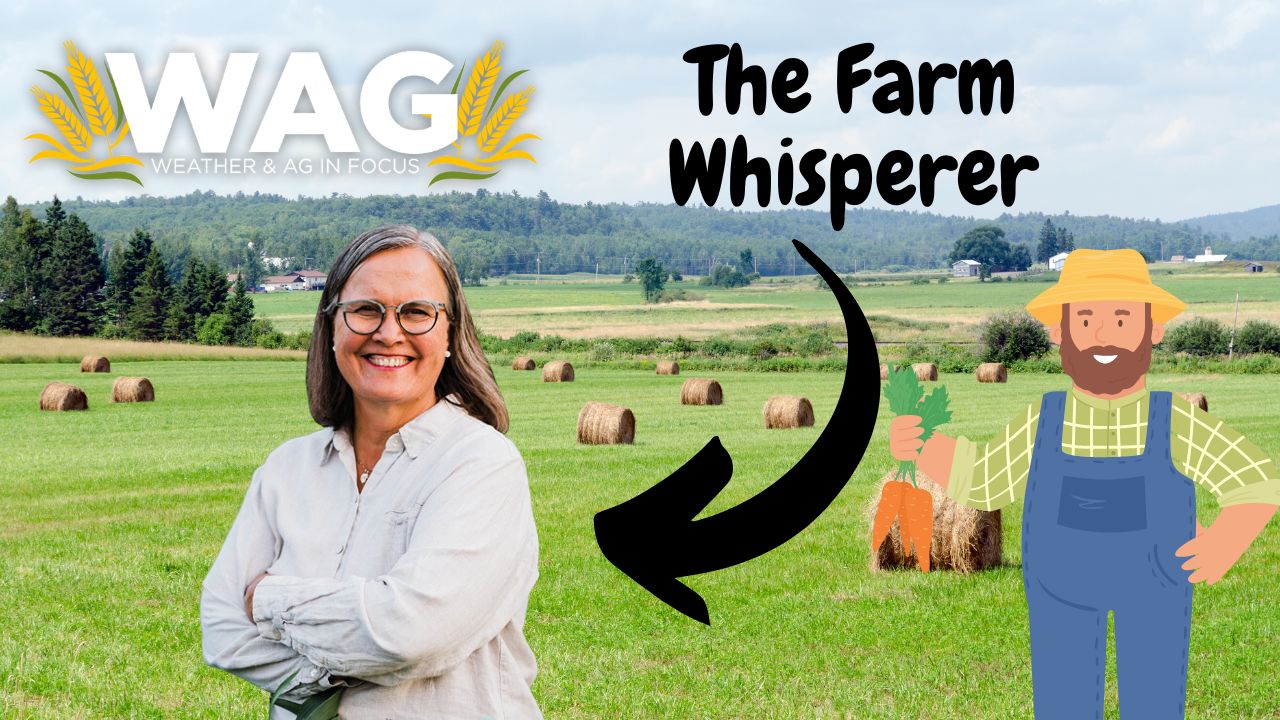 The Farm Whisperer - WAG In Focus 8/29/23