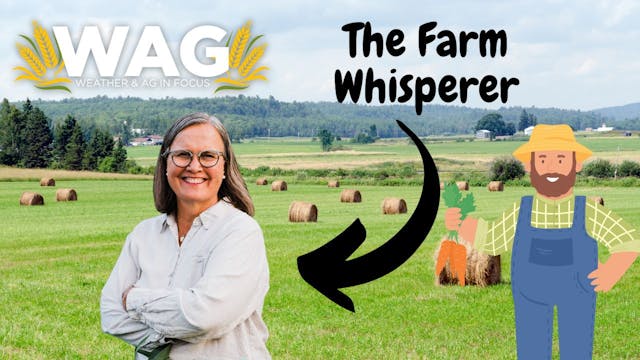 The Farm Whisperer - WAG In Focus 8/2...