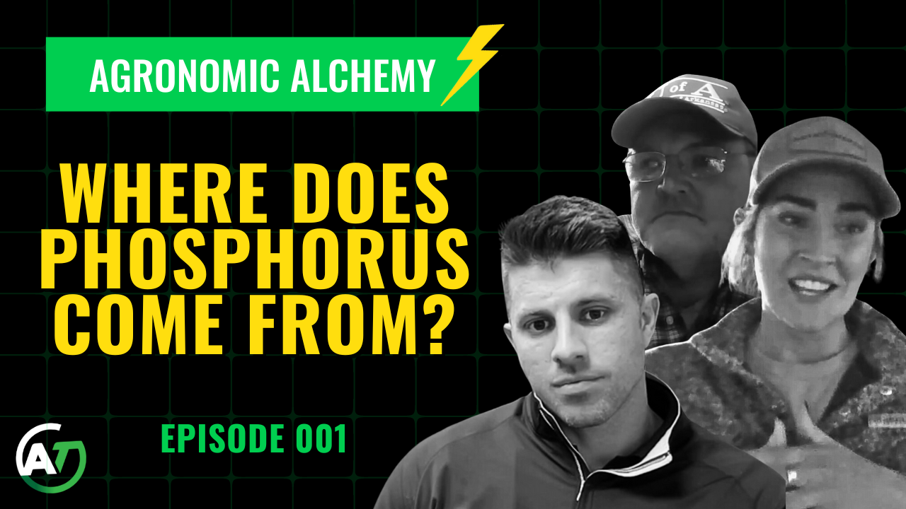 Where Does Phosphorus Come From & How Do Plants Access It | AgroTech 