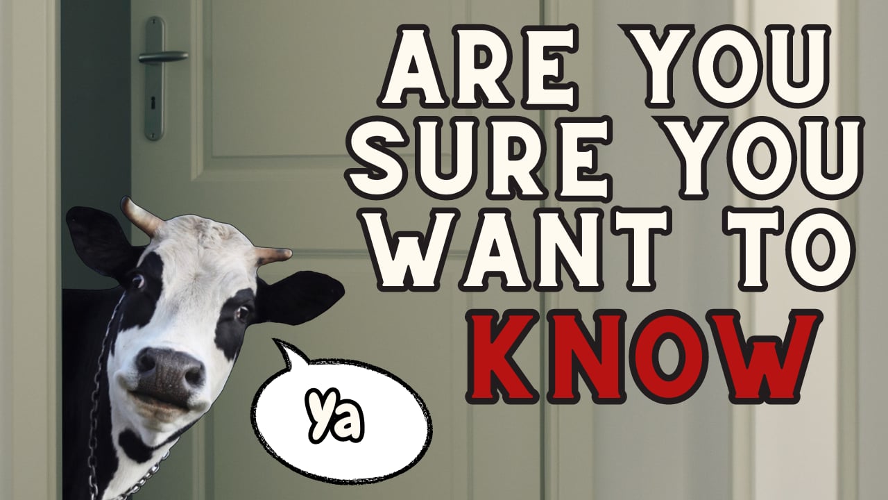 Weather Trivia | WAG in Focus 08-06-25