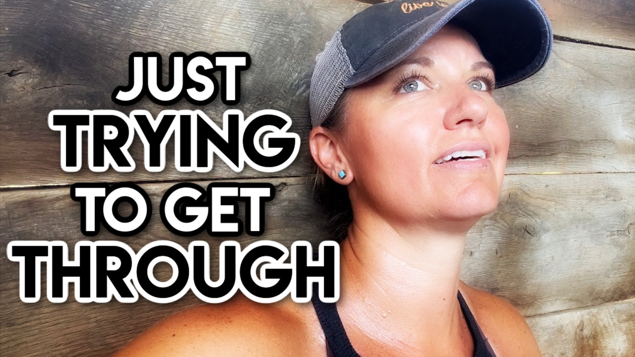 This Has Never Happened : Weighing Calves || This Farm Wife