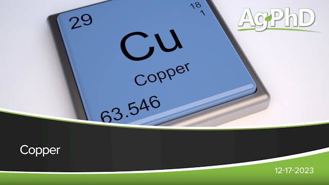 Copper | Ag PhD